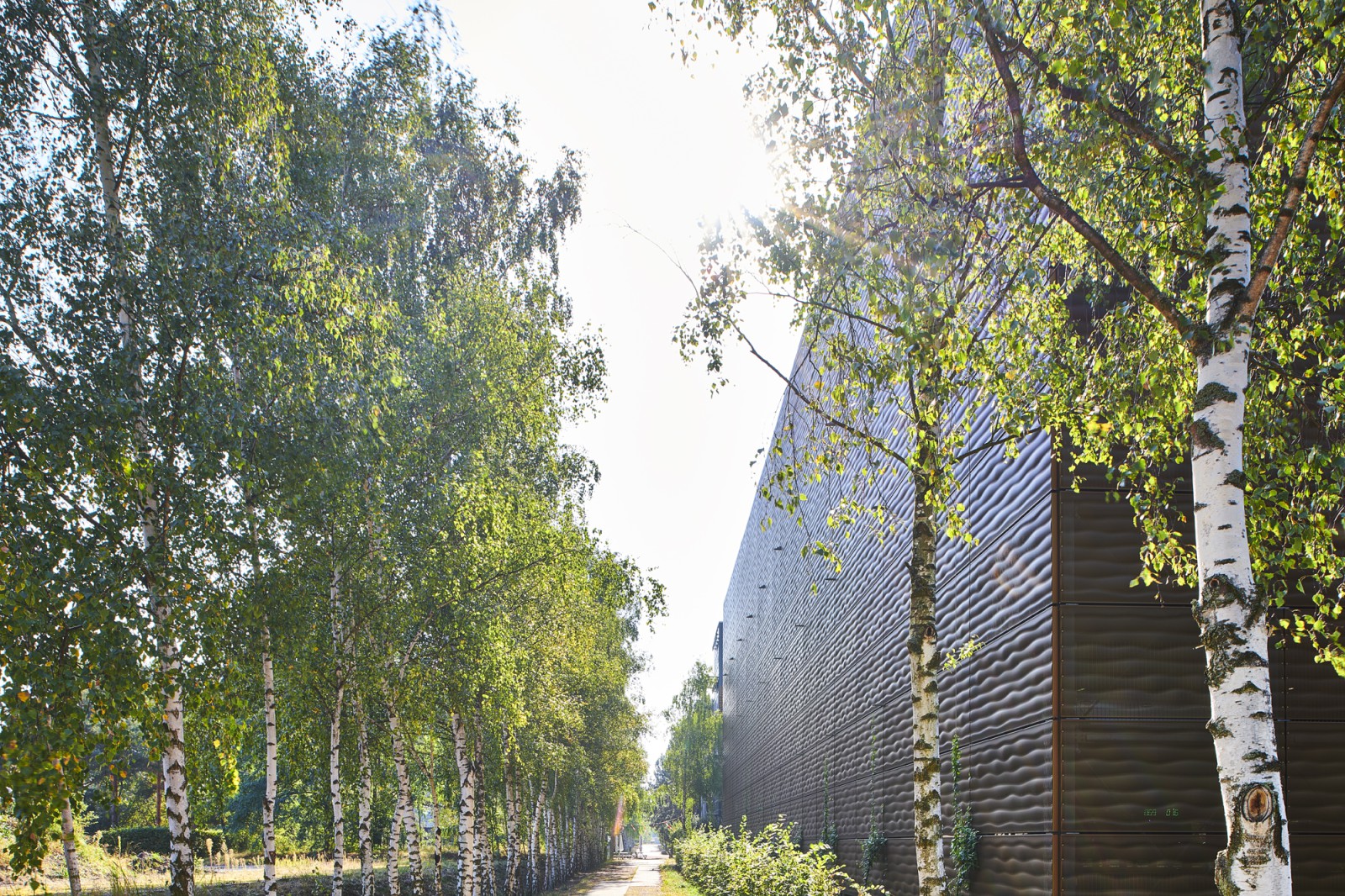 Ansicht eines Bürogebäudes auf dem Europarc Dreilinden, gelegen am Rande eines Waldstücks.