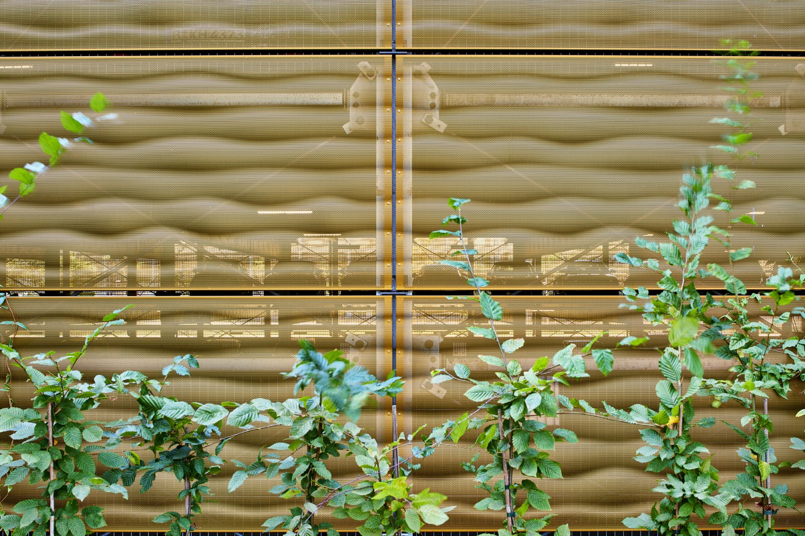 Blick durch eine halbtransparente Fassade am Europarc Drelinden.